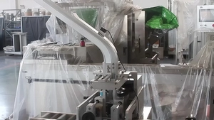 Estuchadora Vertical de Movimiento Intermitente